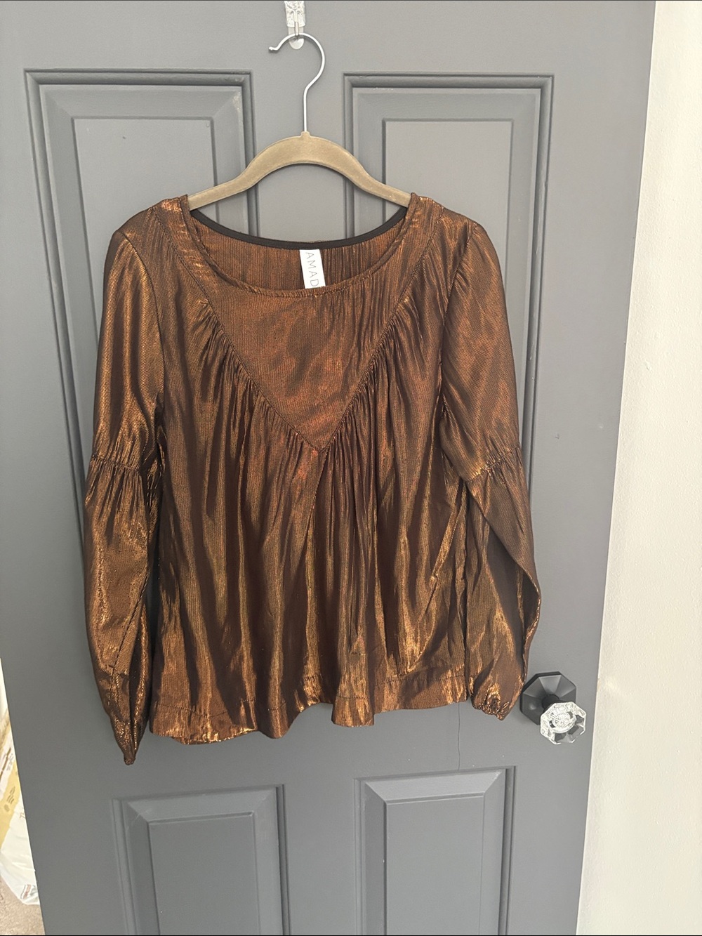 Amandine Shimmery Bronze Peasant Blouse